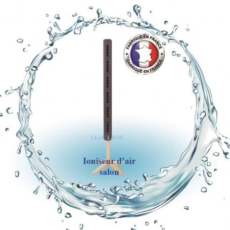 Purificateur, ioniseur d'air - letempledelavie.fr