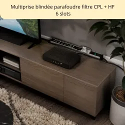 Multiprise blindée Danell à 6 prises avec parafoudre PRO-TECTOR anti cpl et hautes fréquences