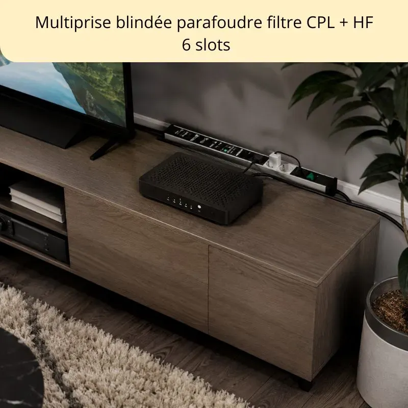 Multiprise blindée Danell à 6 prises avec parafoudre PRO-TECTOR anti cpl et hautes fréquences