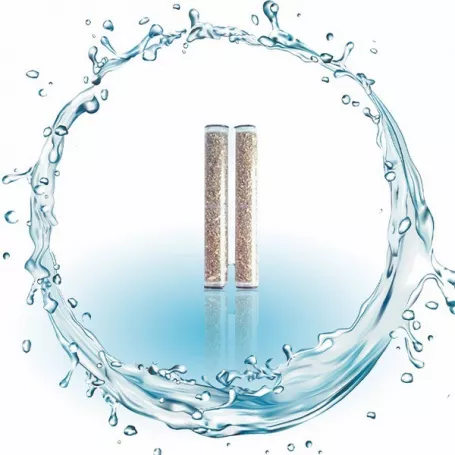 Aquafilter Filtre Remplaçable Pour Pommeau De Douche Anti-calcaire  Aquafilter Blanc